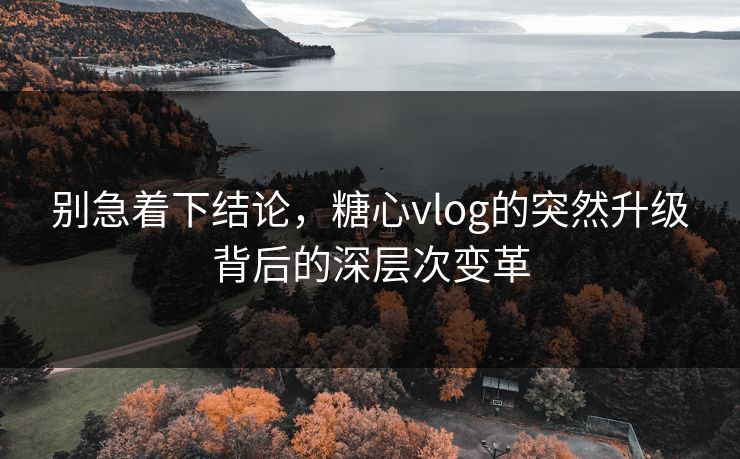 别急着下结论，糖心vlog的突然升级背后的深层次变革