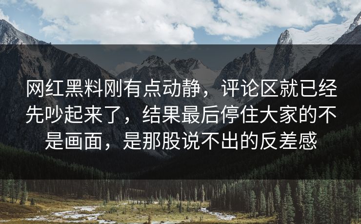 网红黑料刚有点动静，评论区就已经先吵起来了，结果最后停住大家的不是画面，是那股说不出的反差感