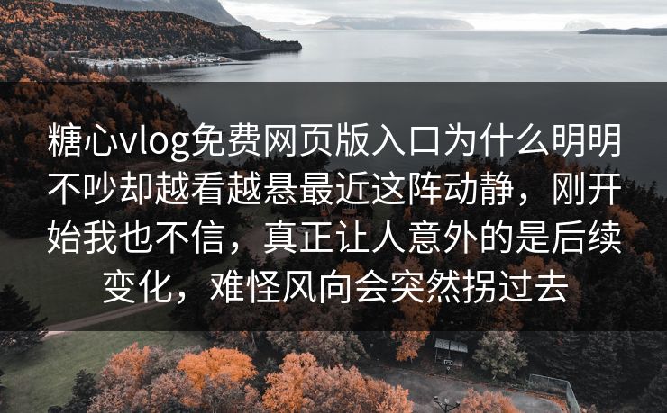 糖心vlog免费网页版入口为什么明明不吵却越看越悬最近这阵动静,刚开始我也不信,真正让人意外的是后续变化,难怪风向会突然拐过去