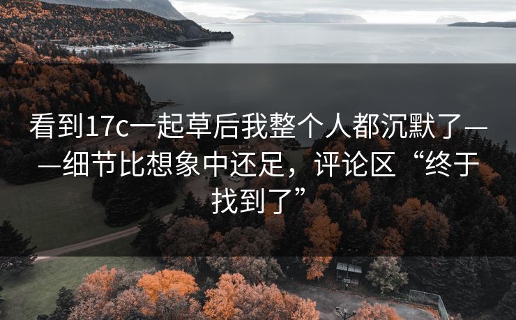 看到17c一起草后我整个人都沉默了——细节比想象中还足,评论区“终于找到了”