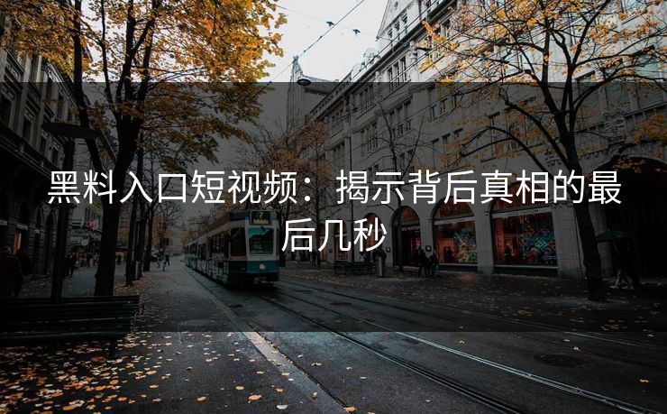 黑料入口短视频:揭示背后真相的最后几秒