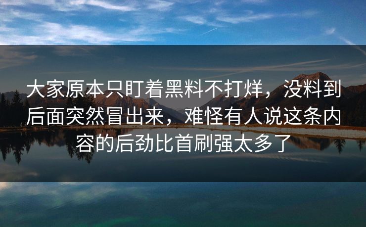 大家原本只盯着黑料不打烊,没料到后面突然冒出来,难怪有人说这条内容的后劲比首刷强太多了