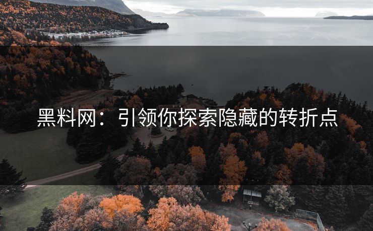 黑料网:引领你探索隐藏的转折点