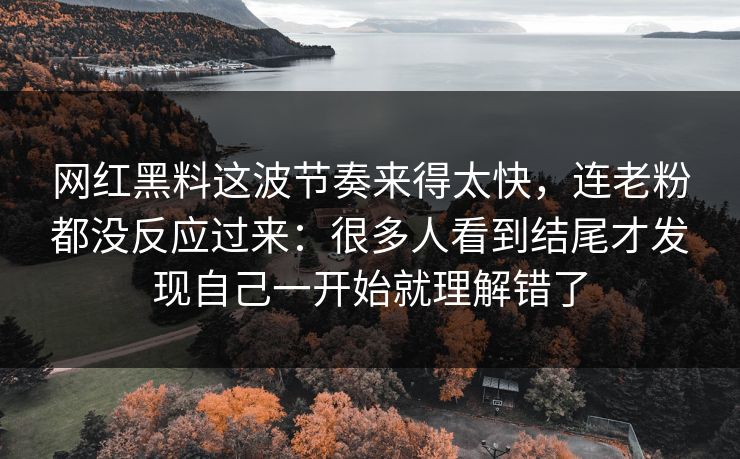 网红黑料这波节奏来得太快,连老粉都没反应过来:很多人看到结尾才发现自己一开始就理解错了