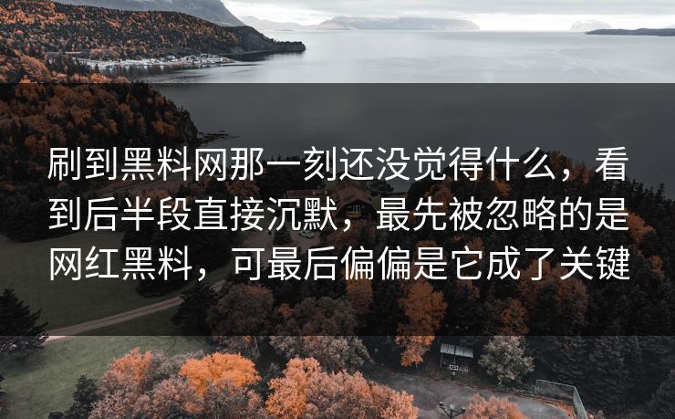 刷到黑料网那一刻还没觉得什么，看到后半段直接沉默，最先被忽略的是网红黑料，可最后偏偏是它成了关键