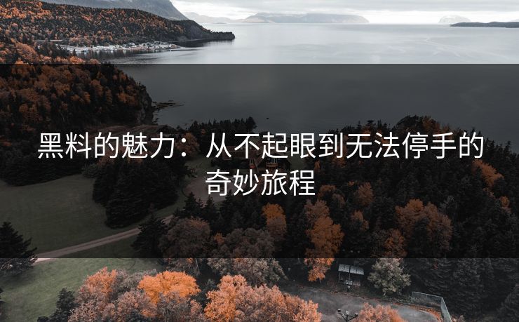 黑料的魅力：从不起眼到无法停手的奇妙旅程