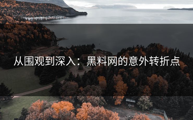 从围观到深入：黑料网的意外转折点