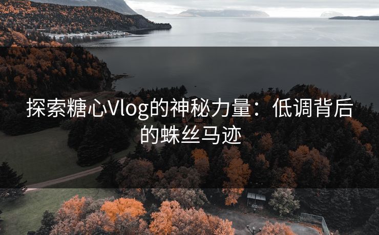 探索糖心Vlog的神秘力量:低调背后的蛛丝马迹