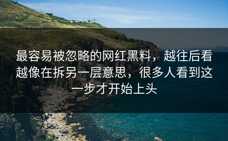 最容易被忽略的网红黑料，越往后看越像在拆另一层意思，很多人看到这一步才开始上头