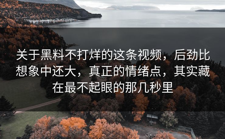 关于黑料不打烊的这条视频,后劲比想象中还大,真正的情绪点,其实藏在最不起眼的那几秒里