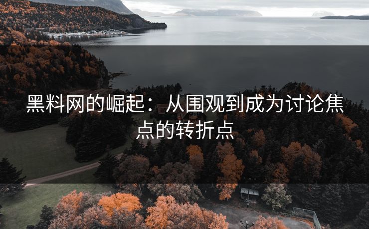 黑料网的崛起：从围观到成为讨论焦点的转折点