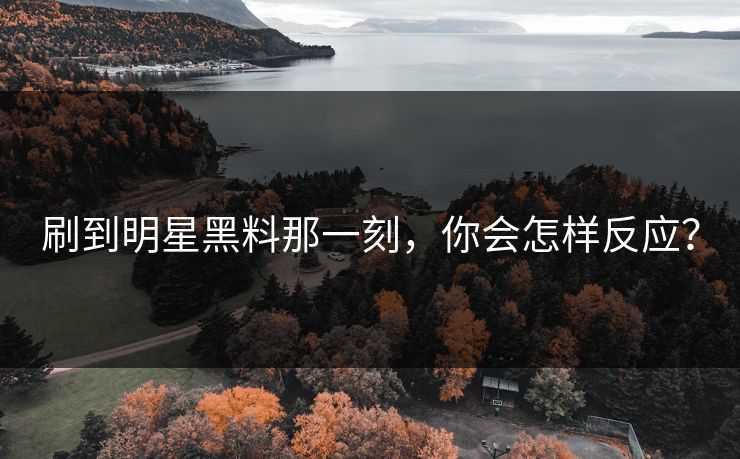 刷到明星黑料那一刻,你会怎样反应?